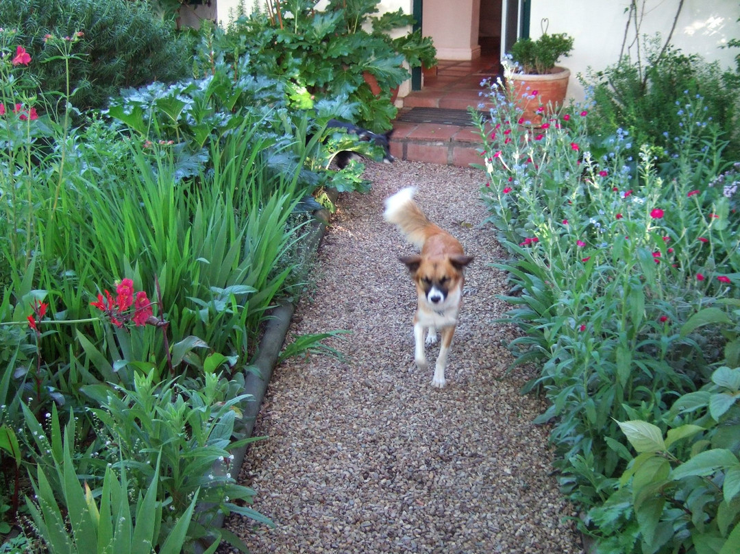 High Hopes Of Greyton主图