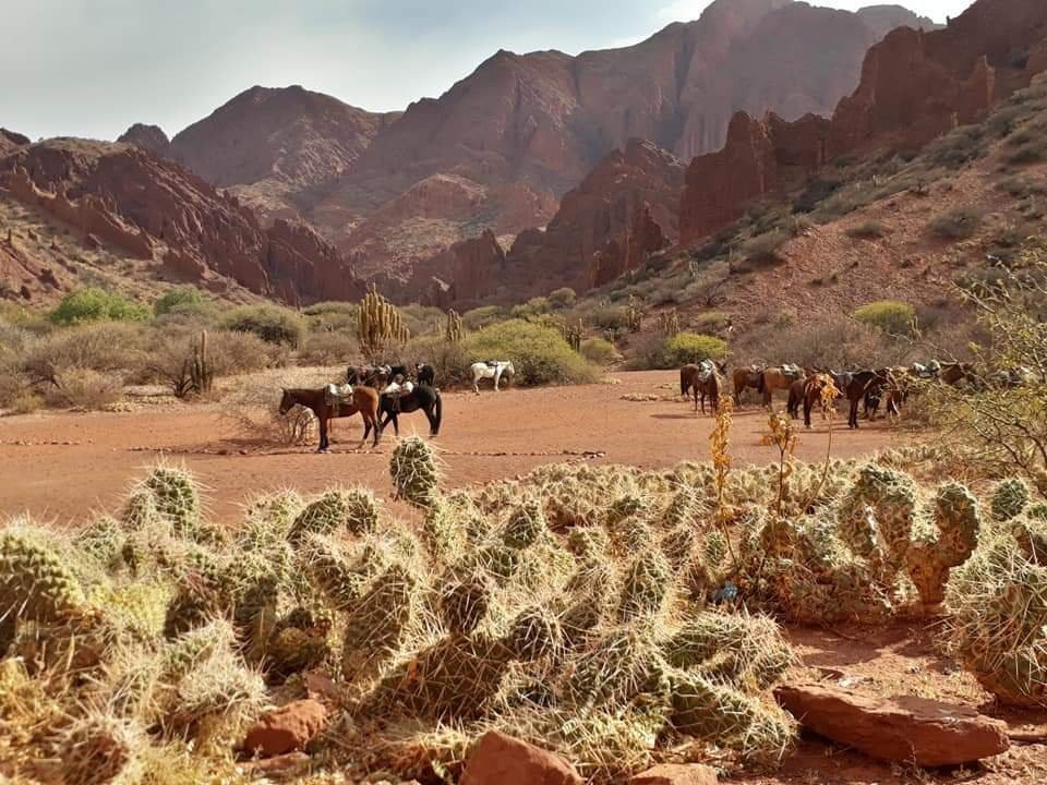 Centro Ecuestre Amazonas-Tupiza必去景点