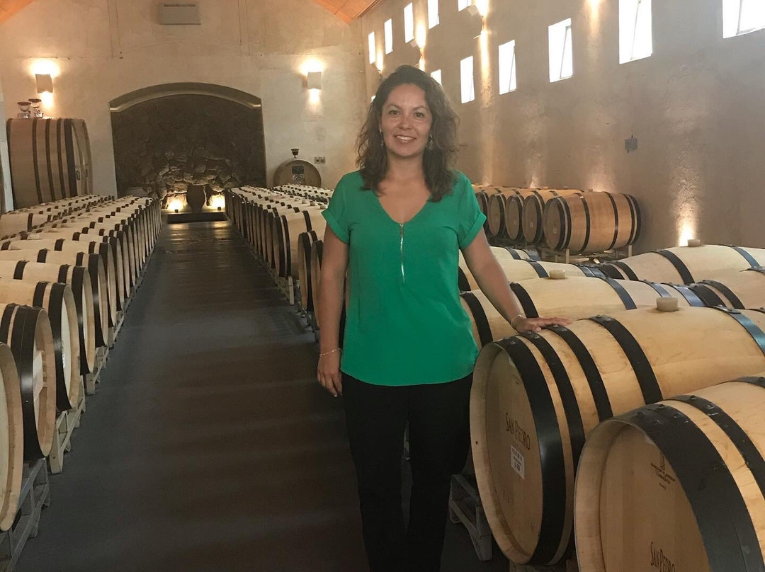 Vina San Pedro-Requinoa必去景点