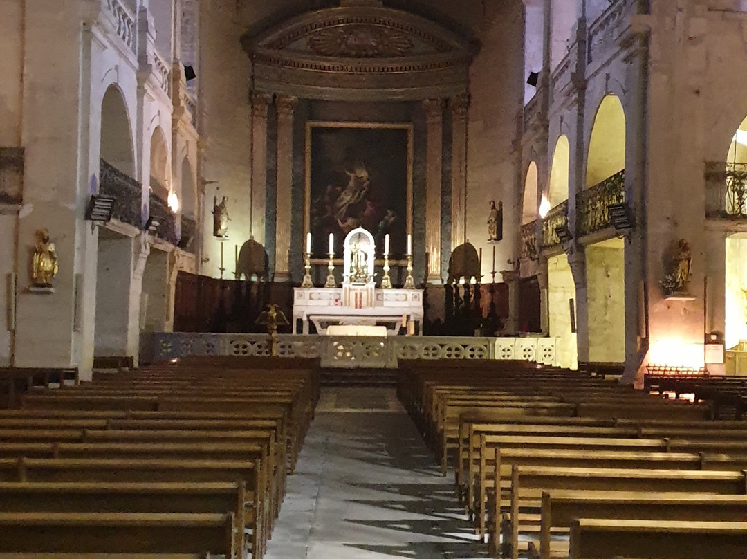 Cathédrale Saint-Théodorit景点图片