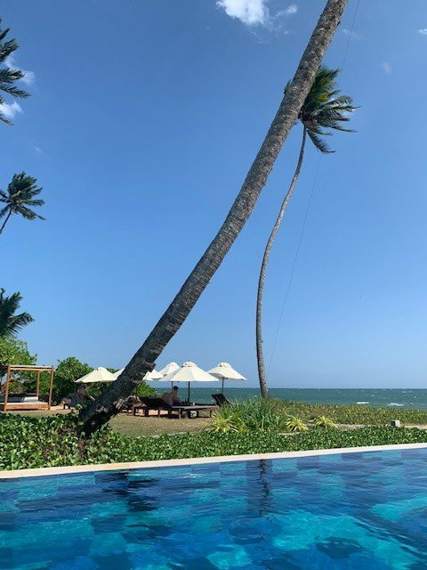 Lankavatara Ocean Retreat & Spa主图