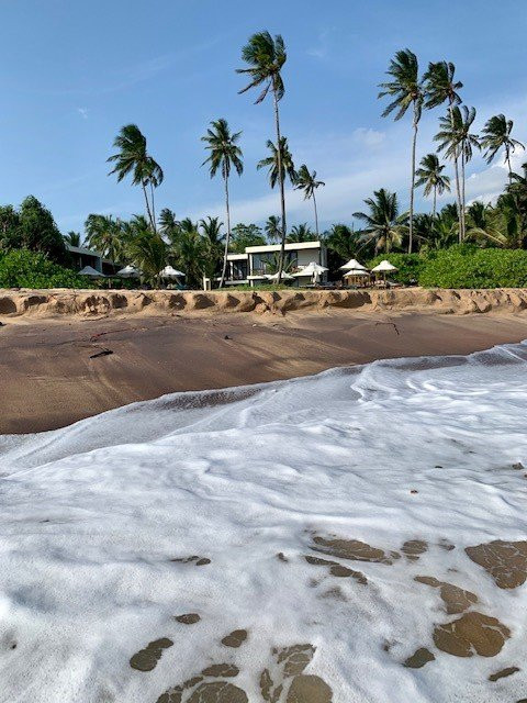 Lankavatara Ocean Retreat & Spa主图