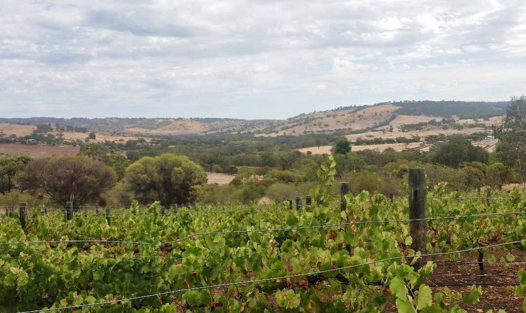 Pecan Hill B & B主图