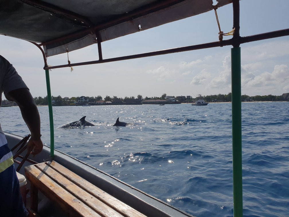 Nungwi Aquarium Adventures-孥归必去景点