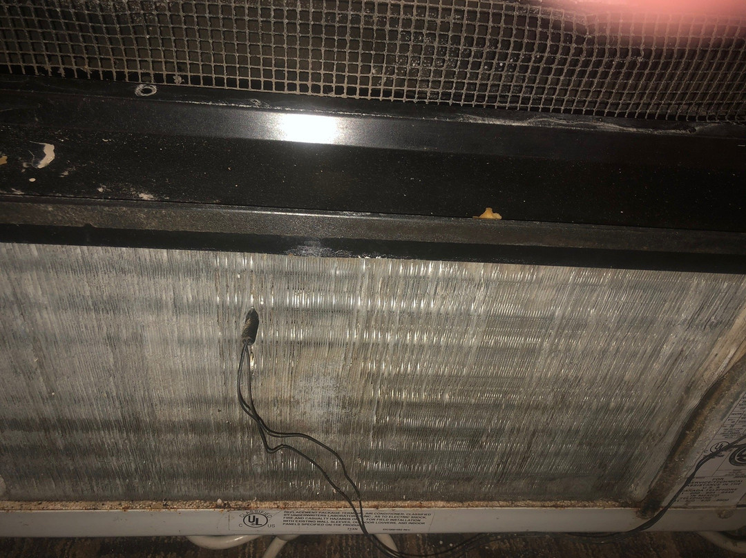 Comfort Suites The Villages主图