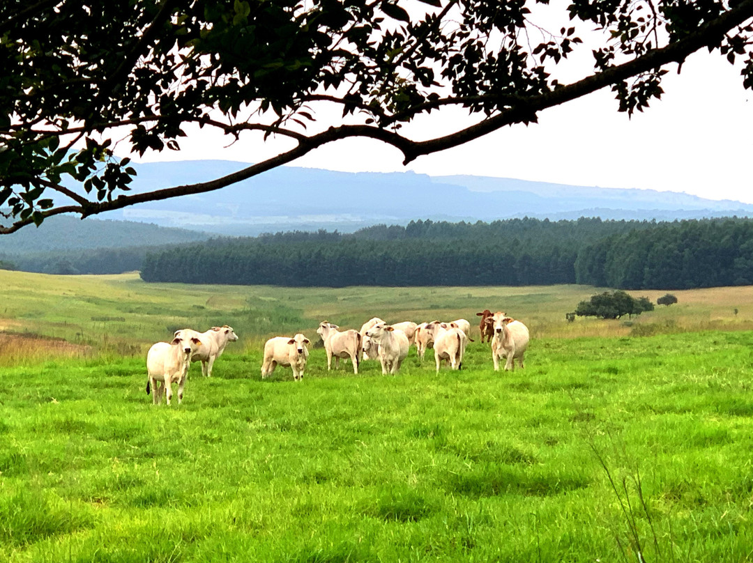 Hillside Farm B & B主图