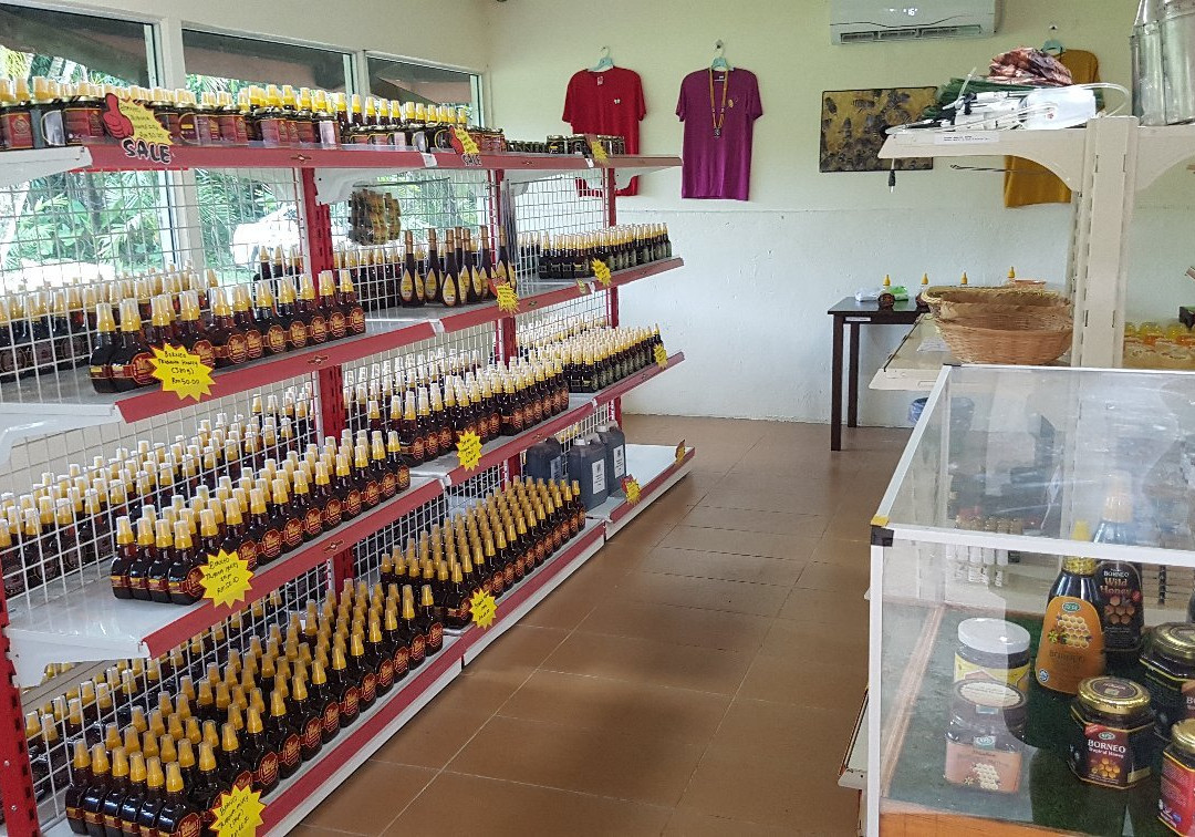 Borneo Honeybee Centre-古达必去景点