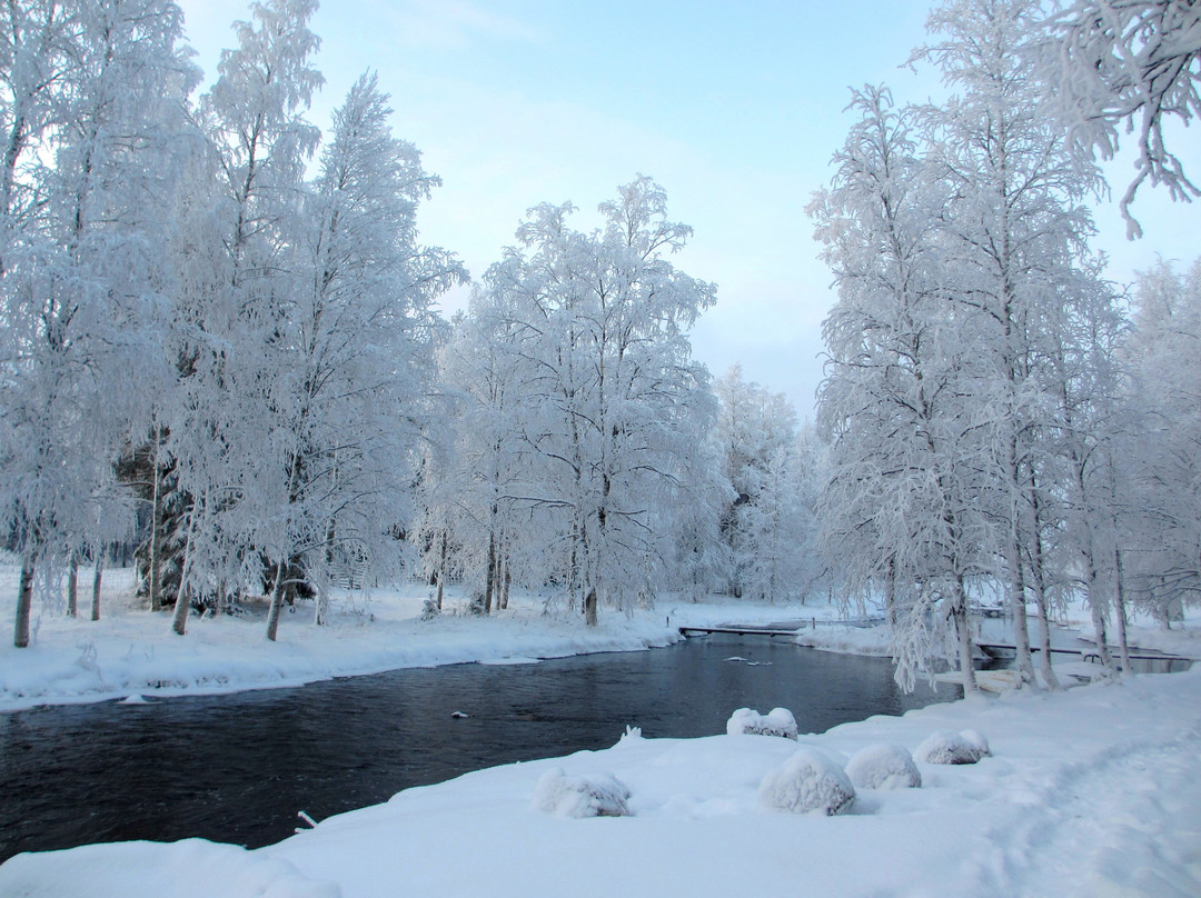 Poro-Panuma Reindeer Farm-Pudasjarvi必去景点