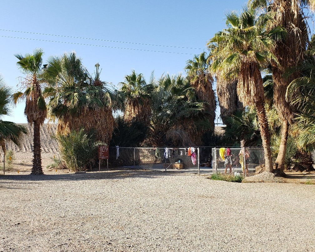 Holtville Hot Spring景点图片