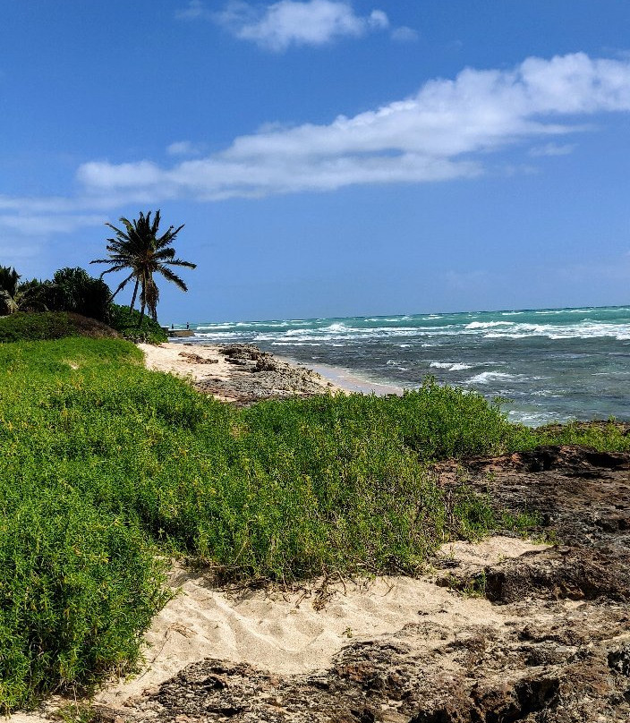 Barber's Point Lighthouse-考普雷必去景点