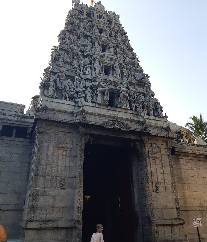 Tuk It Easy Colombo-科伦坡必去景点