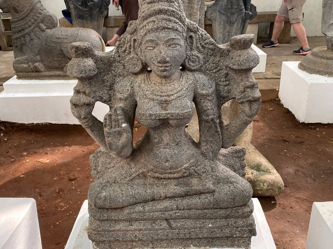 Pondicherry Museum景点图片