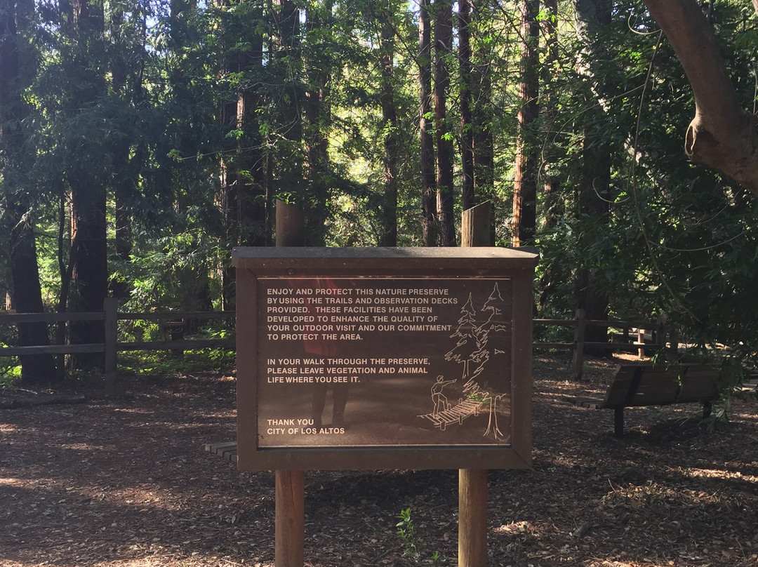 Redwood Grove Nature Preserve景点图片