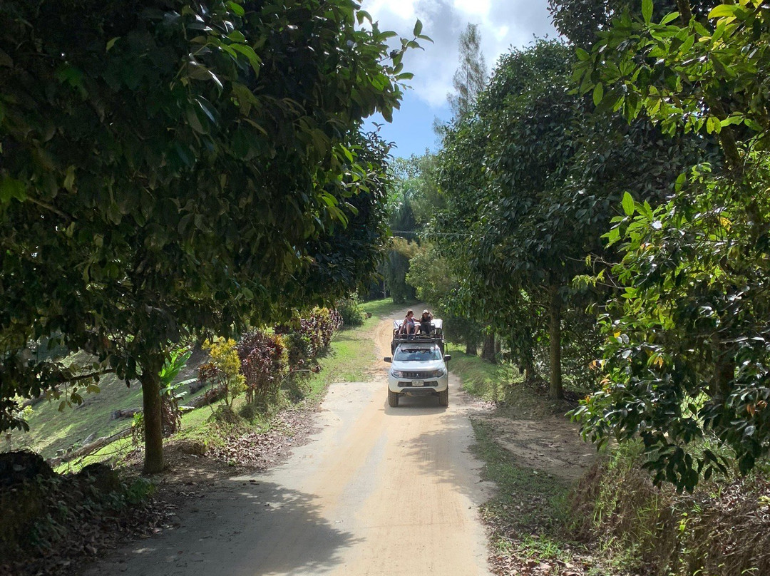 Major Safari Tour-利巴诺伊必去景点