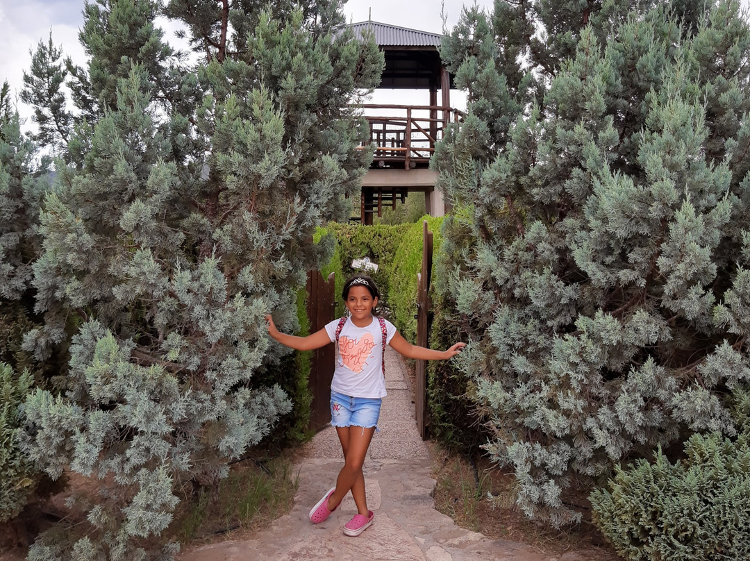 El Laberinto de Nono-Nono必去景点