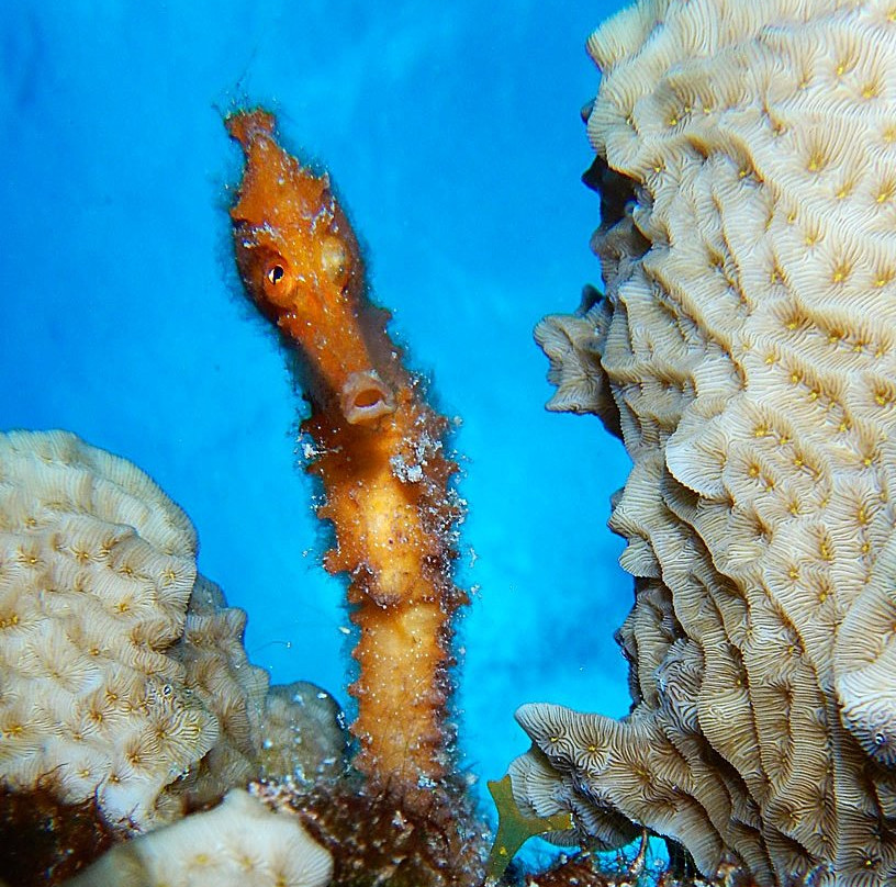 Playa Lagun-库拉索必去景点