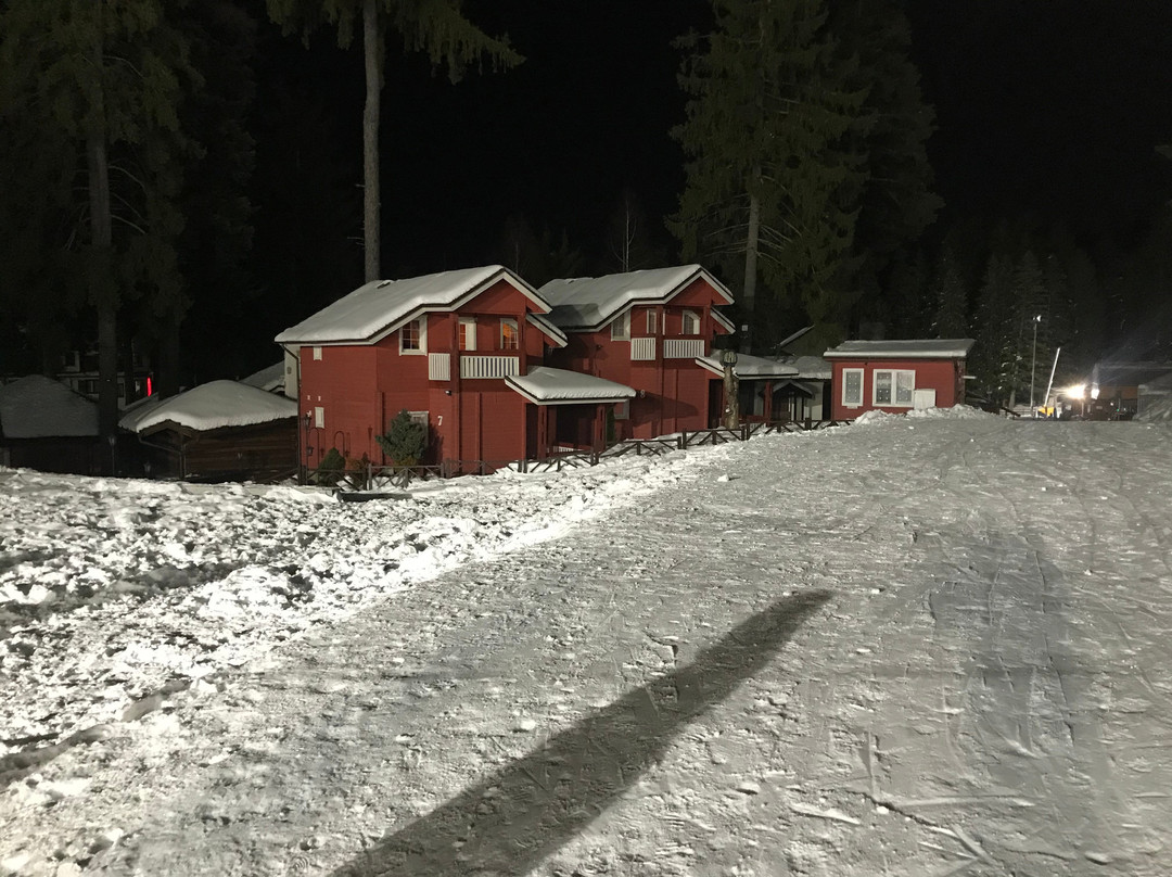 阿尔卑斯酒店主图