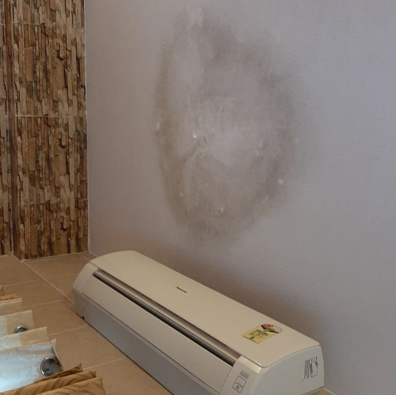 Grand Goa Exotica主图