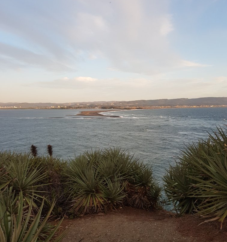 Parque Pedro del Rio Zanartu-康塞普西翁必去景点