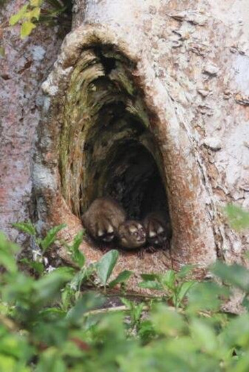 Panama Boat Tours-巴拿马城必去景点
