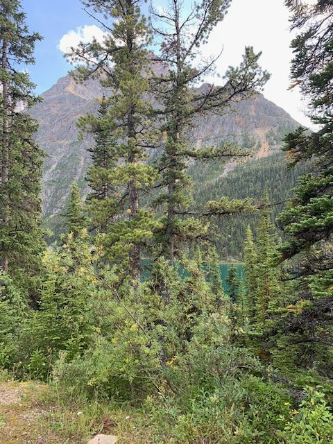 伊迪斯卡韦尔山-贾斯珀国家公园必去景点