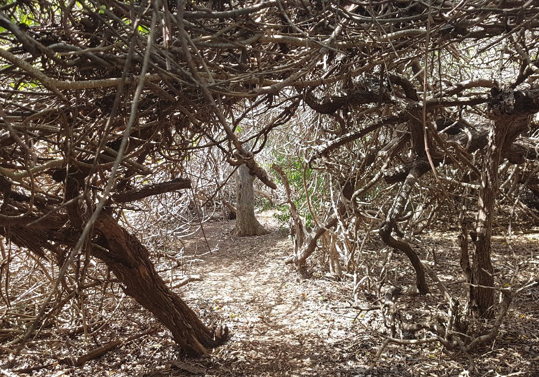 Hofi Pastor-Barber必去景点