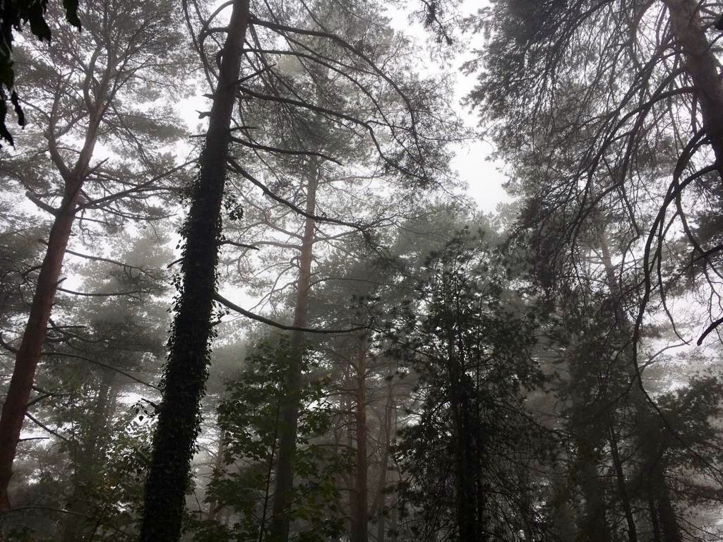 Peneda-Gerês National Park & Northern Portugal Hiking Tours景点图片