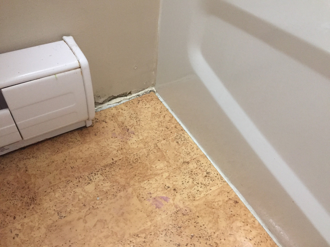 Le Portage Motel主图