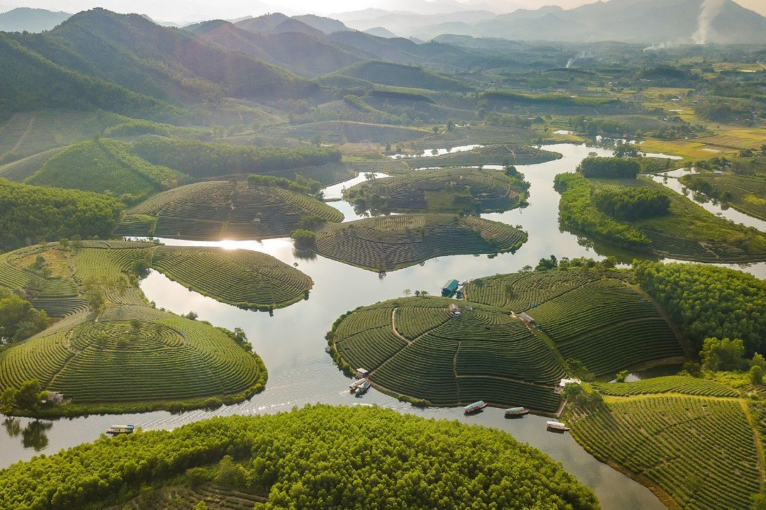 Dao Che Thanh Chuong景点图片