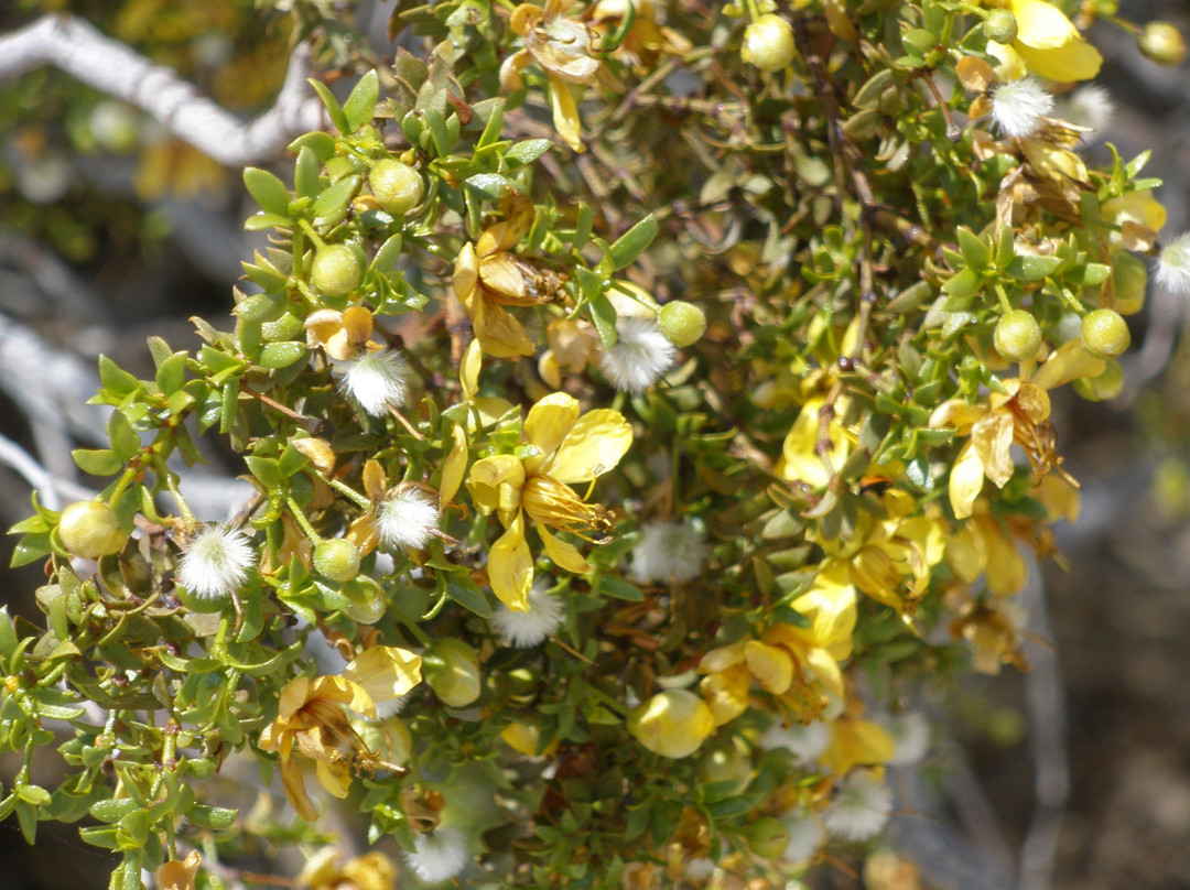Saddleback Butte State Park-兰开斯特必去景点
