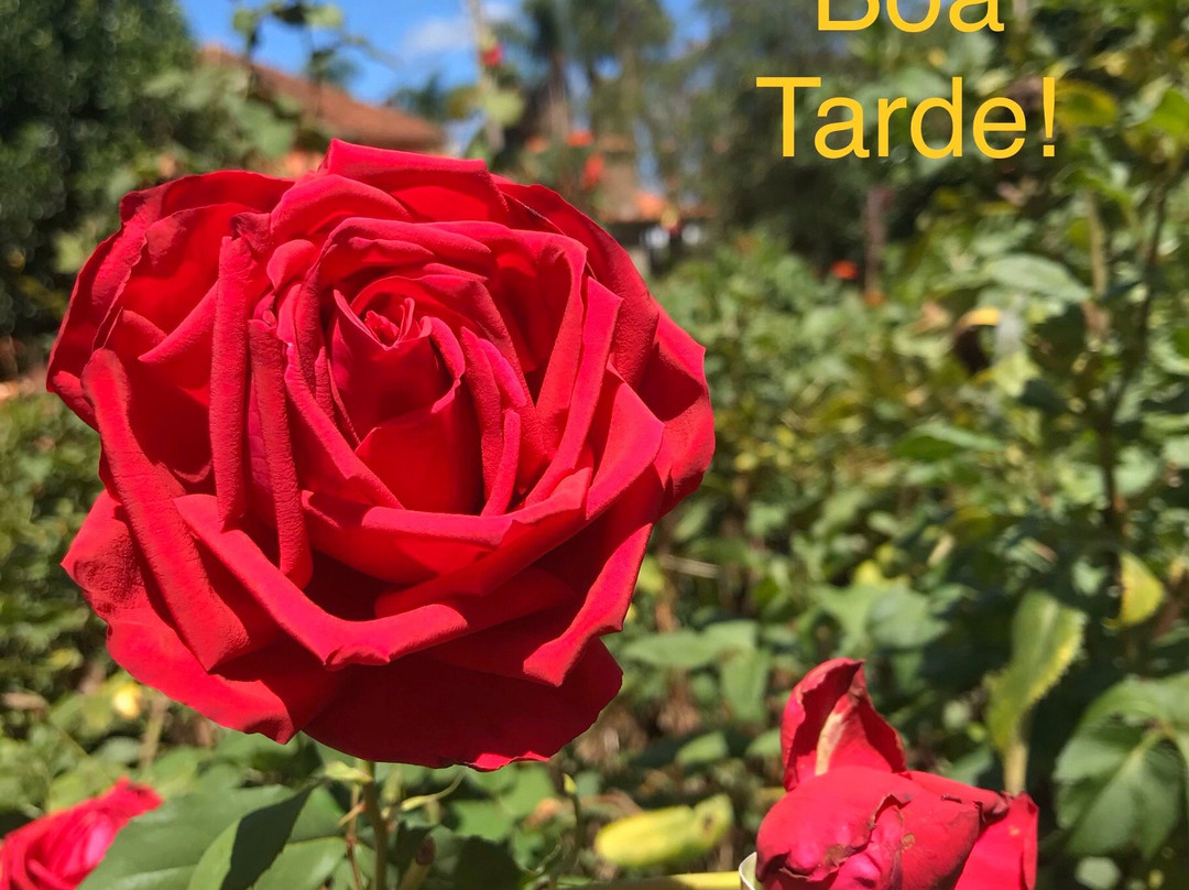 Pousada Colonial De Rossi主图