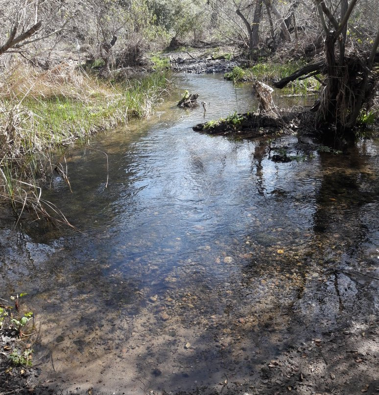 Los Peñasquitos Canyon Preserve景点图片