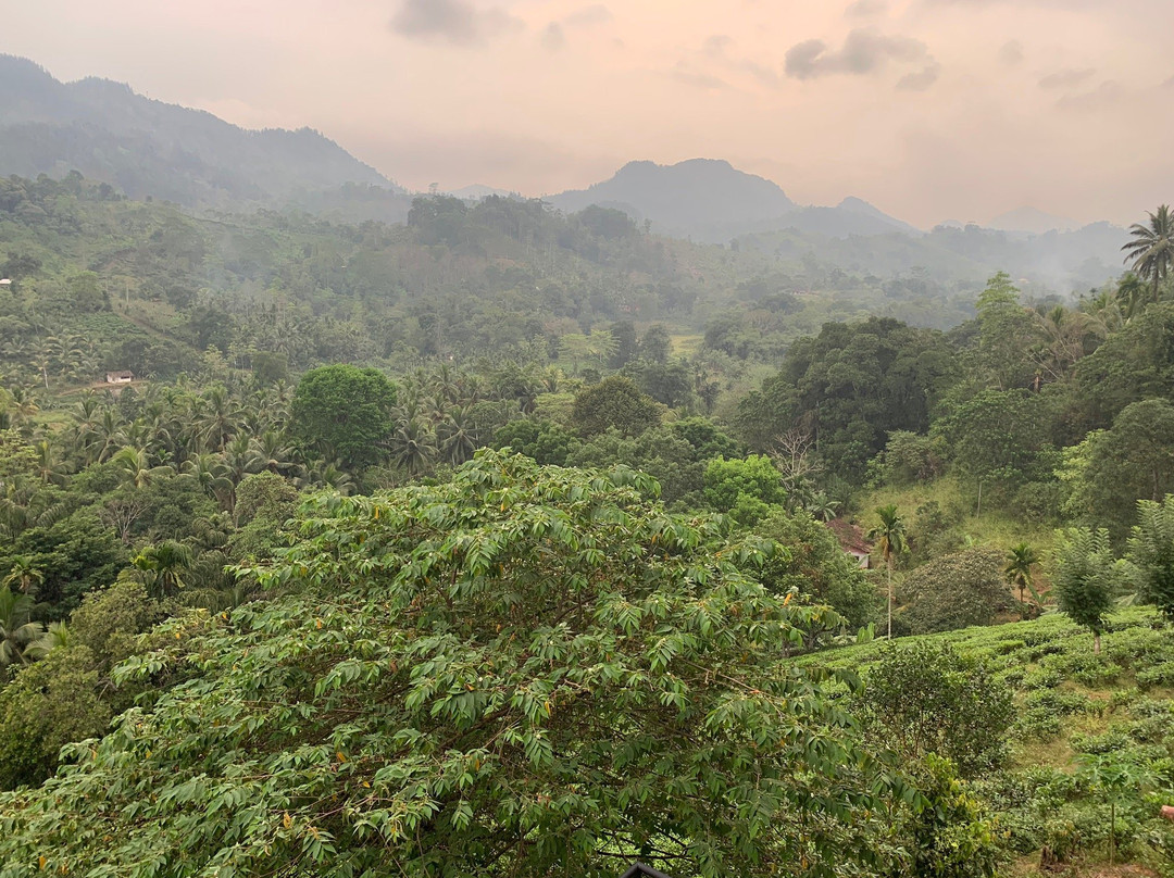 Rock View Motel主图