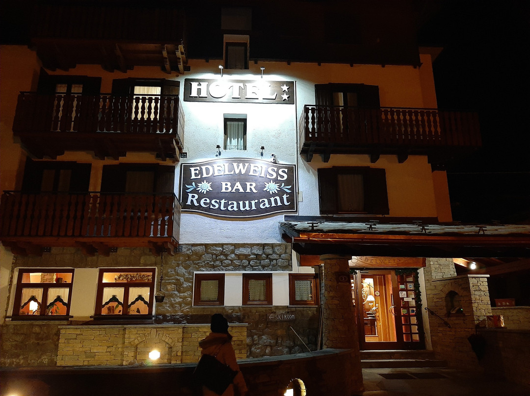 Hotel Edelweiss主图