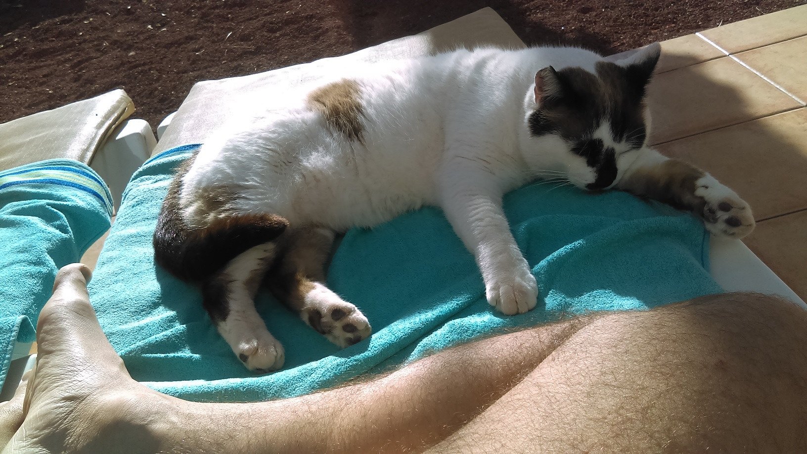 海鸥洋房酒店-浴室