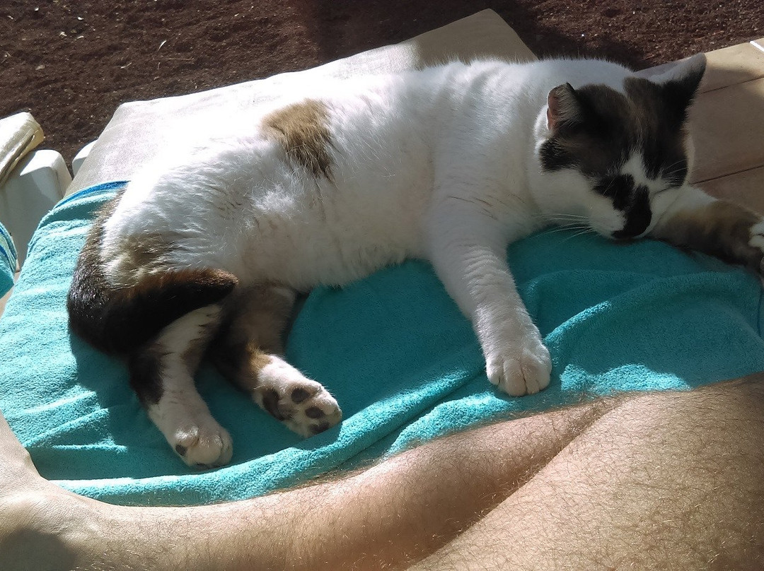 海鸥洋房酒店主图