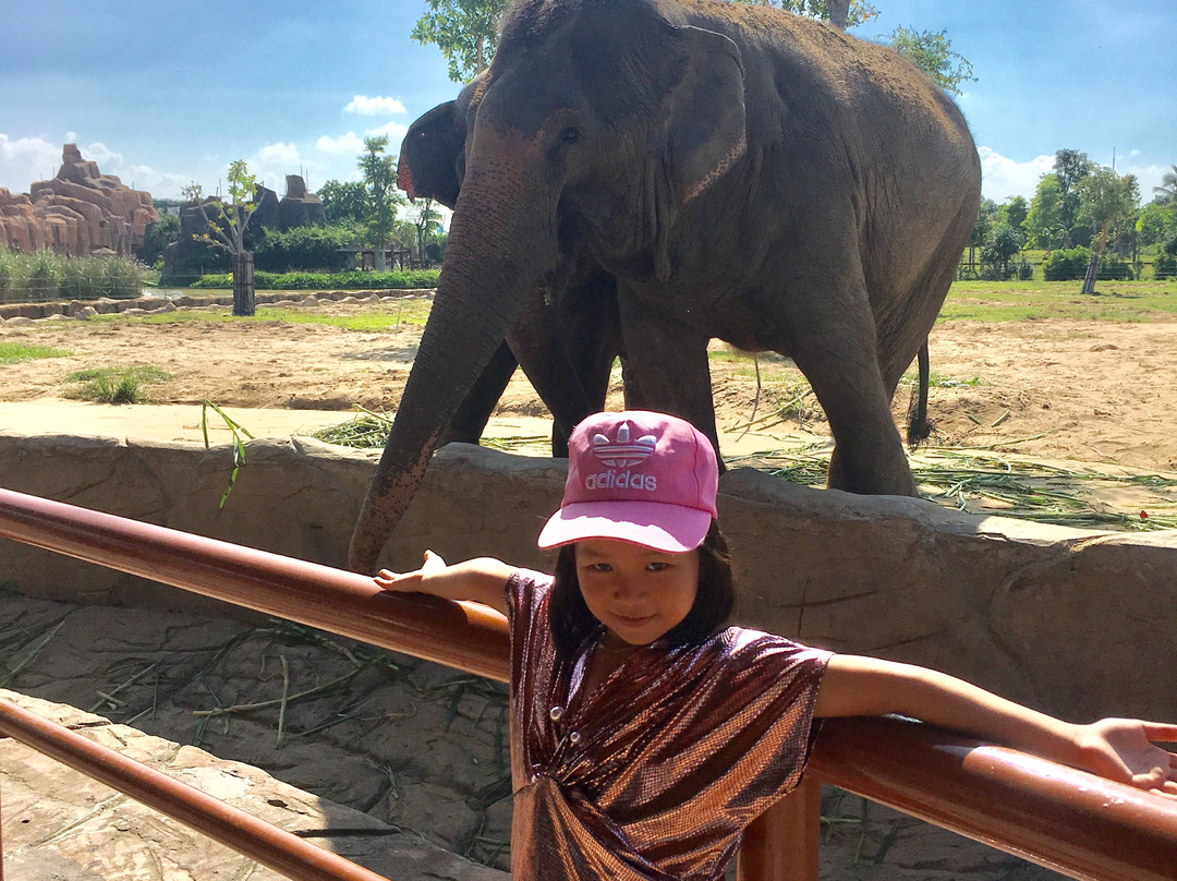 VinWonders Nam Hội An-Binh Minh必去景点