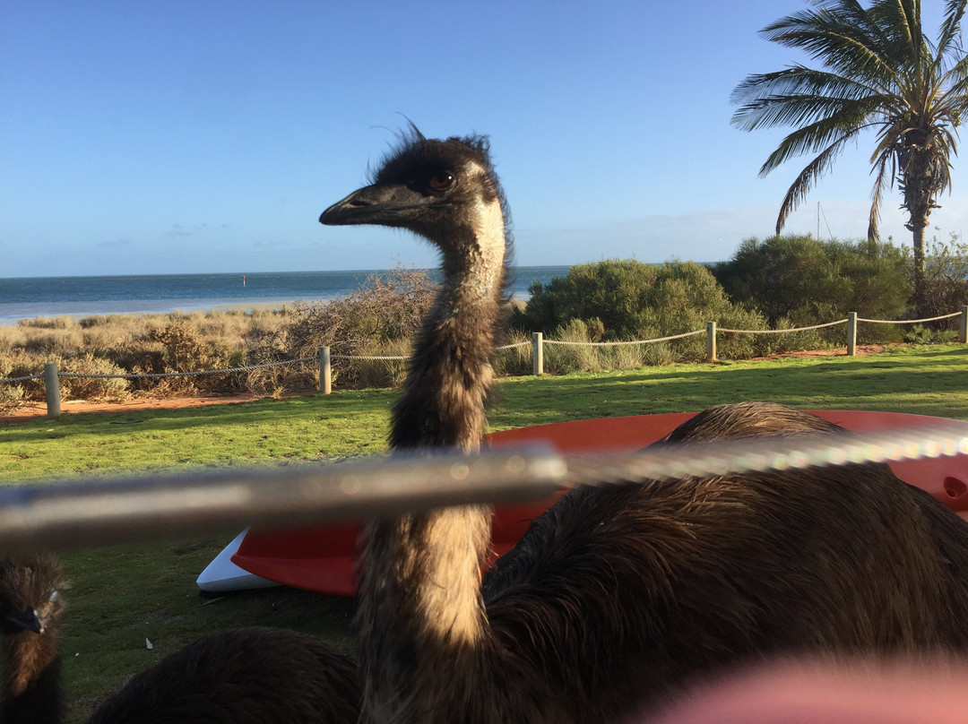 猴子美亚海滩度假村主图