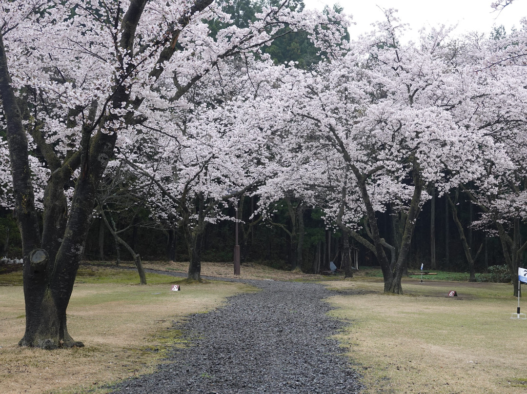 Kyowa Michi-no-Eki-大仙市必去景点