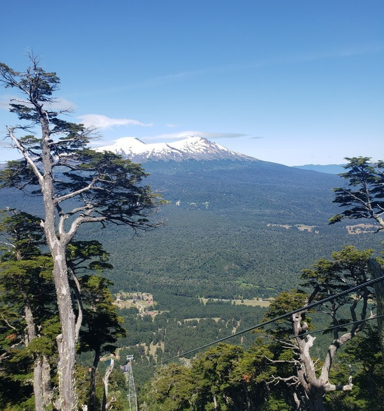 Teleferico Condor Andino-耐尔杜美必去景点