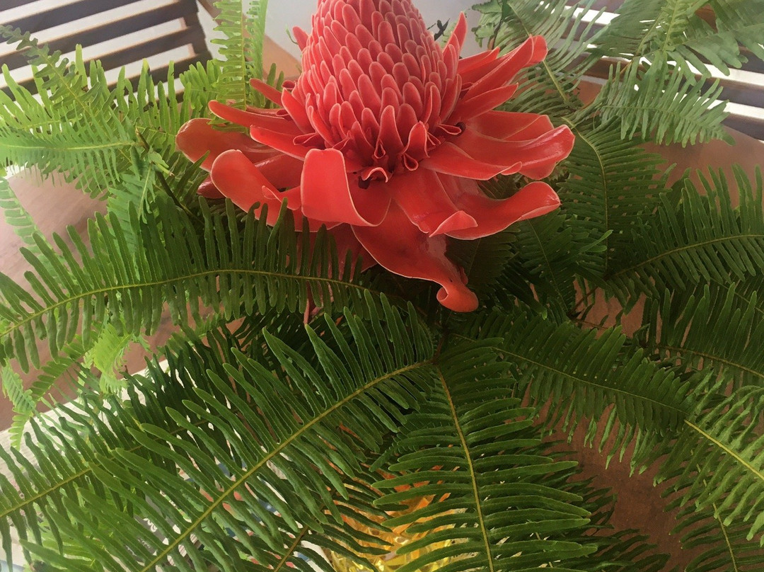 Jeevaka Villa and Ayurveda Retreat - Jeeva Villa主图