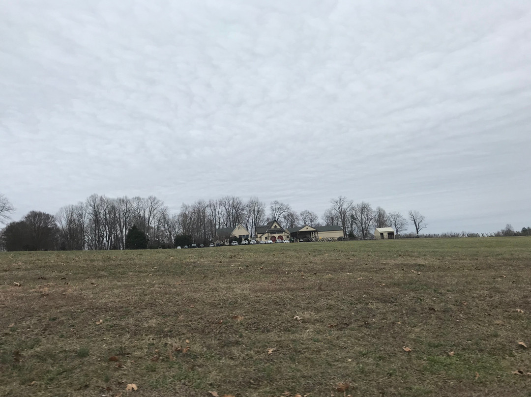 Thatch Winery-夏洛茨维尔必去景点