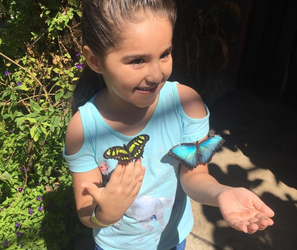 Casa Alegría-Canaan必去景点