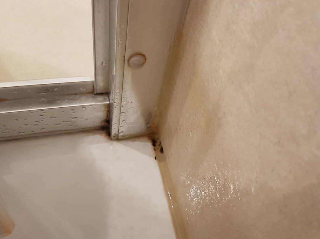 Baltic Park Molo Apartments by Zdrojowa主图