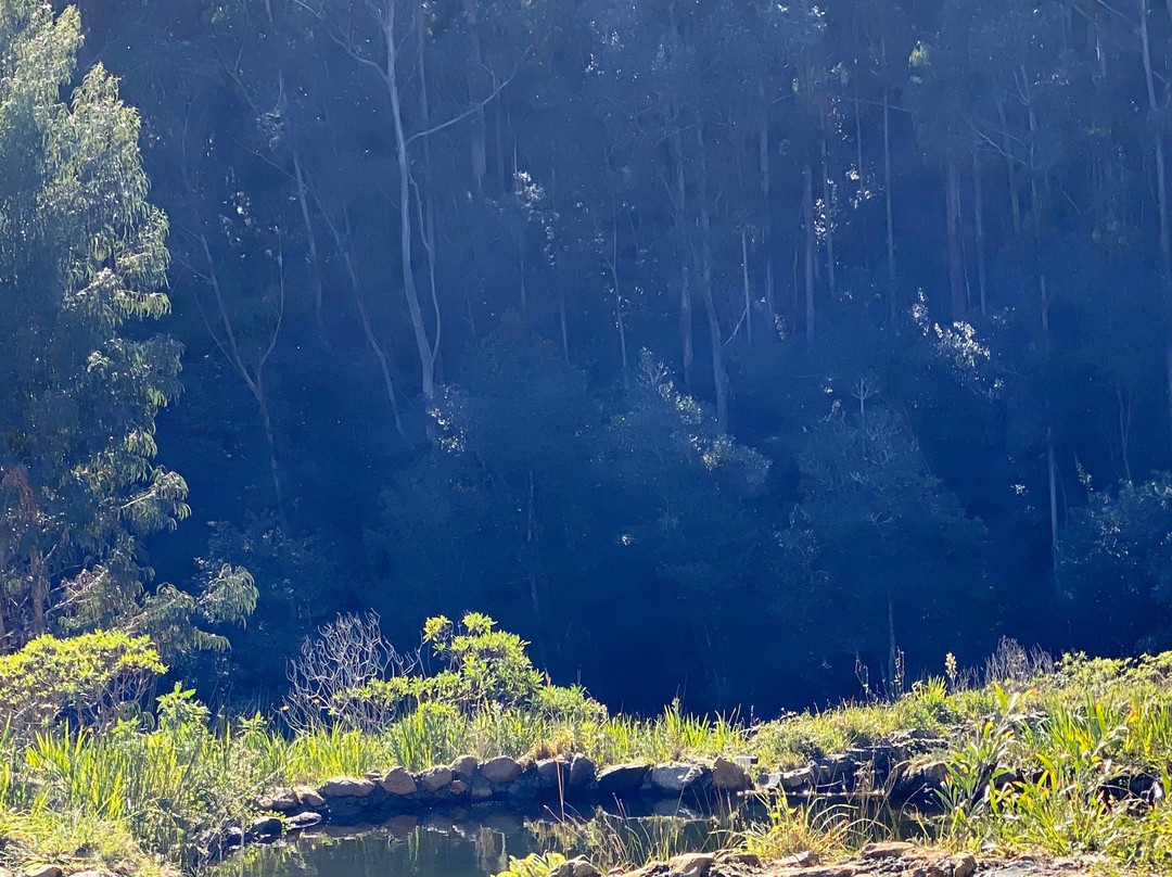 Parque Ribeira Primeira-Santo da Serra必去景点