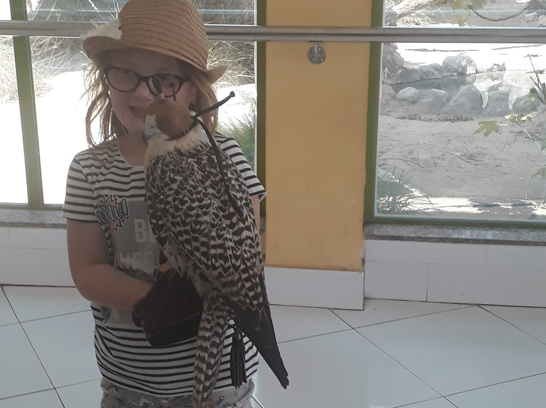 Al Areen Wildlife Park & Reserve-Zallaq必去景点