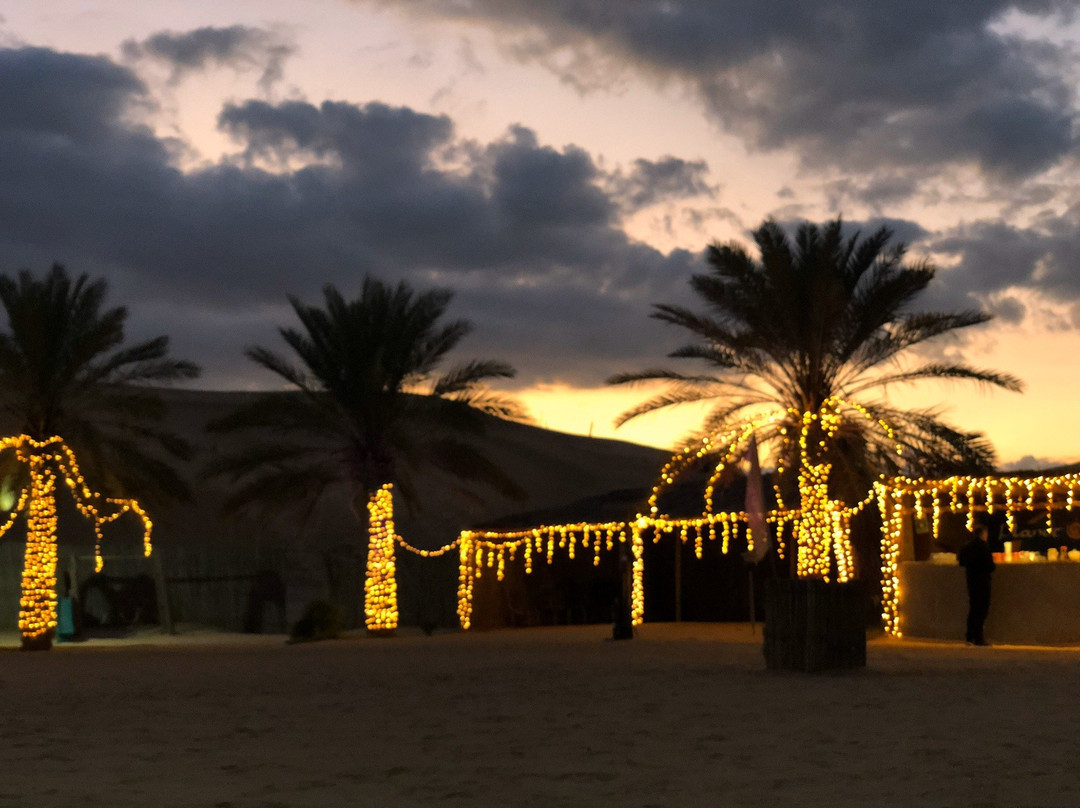 Royal Planet Tours & Safaris-迪拜必去景点