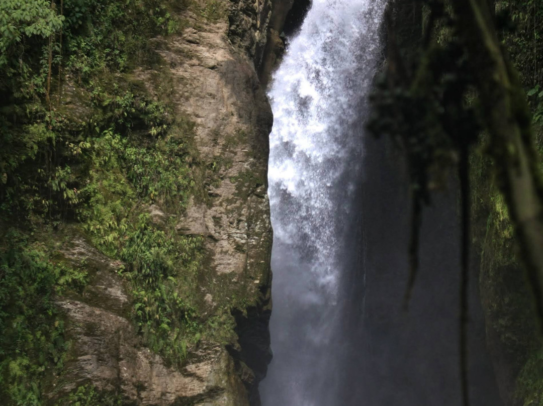 Cascadas del Rio Verde景点图片