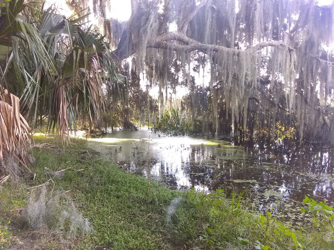 Trimble Park-Mount Dora必去景点