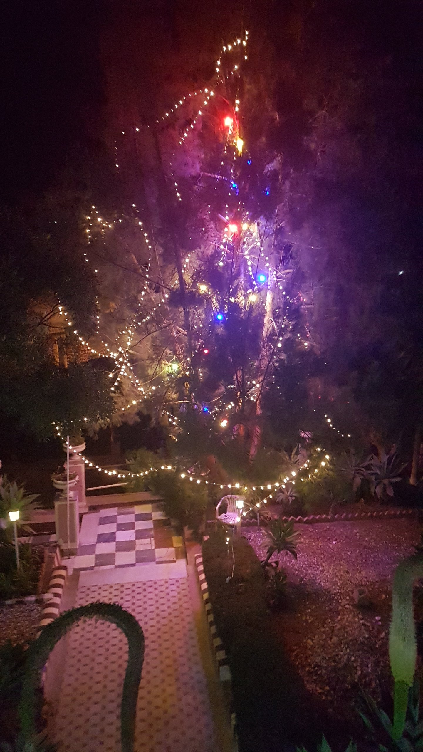 Africa Pension-酒店景观